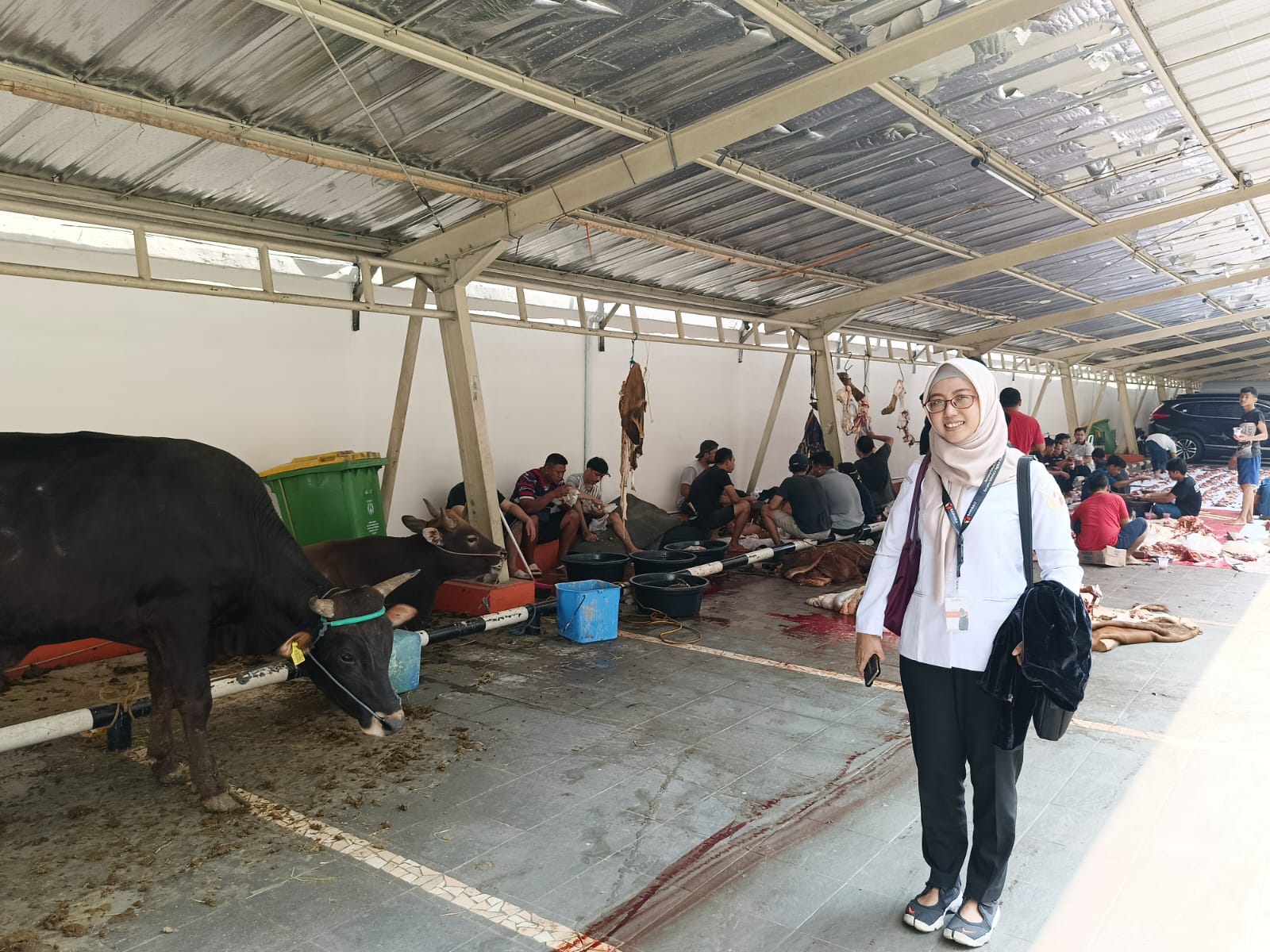 Putri Usmawati (Plt. Kepala Sekretariat Bawaslu Kepulauan Seribu) menghadiri proses pemotongan hewan kurban