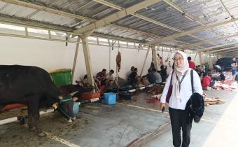 Putri Usmawati (Plt. Kepala Sekretariat Bawaslu Kepulauan Seribu) menghadiri proses pemotongan hewan kurban